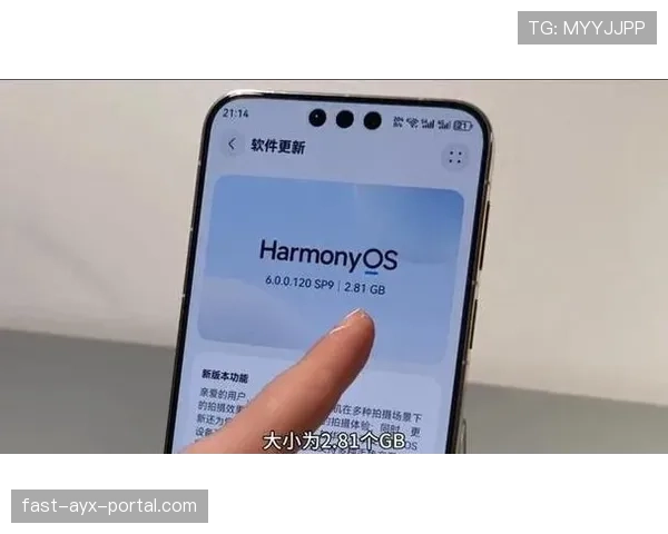 进攻重置规则解析:什么情况下会触发24秒重新计算? 进攻重置规则解析:什么情况下会触发24秒重新计算?